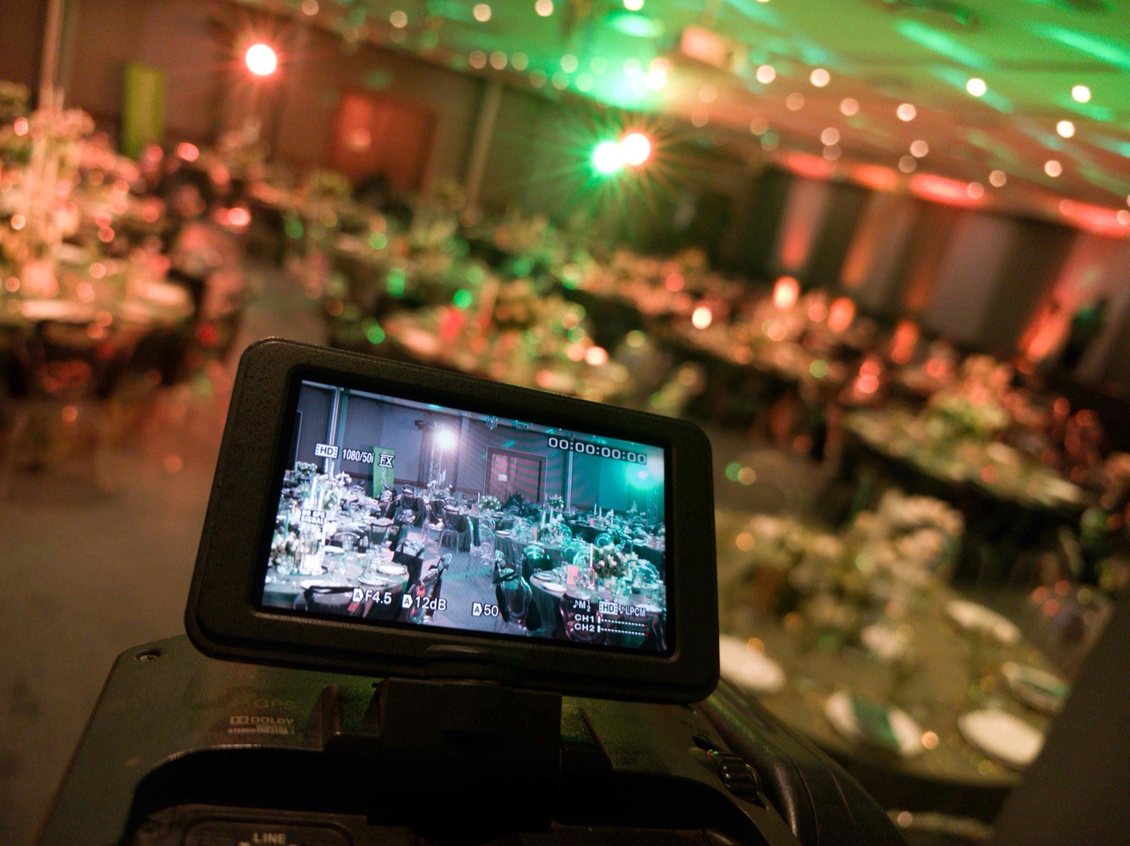 Live stage performance with dynamic performer and stage lighting